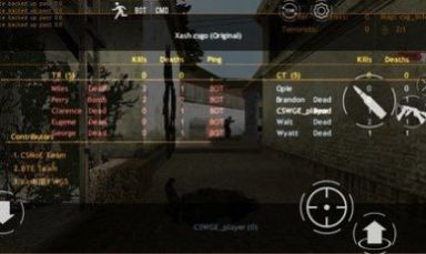 Counter Strike2 apk官方安卓版图3: