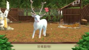 PetWorld3d中文版图3