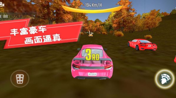 赛车竞速挑战赛游戏安卓版图1:
