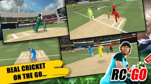 真实板球GO游戏官方版图2:
