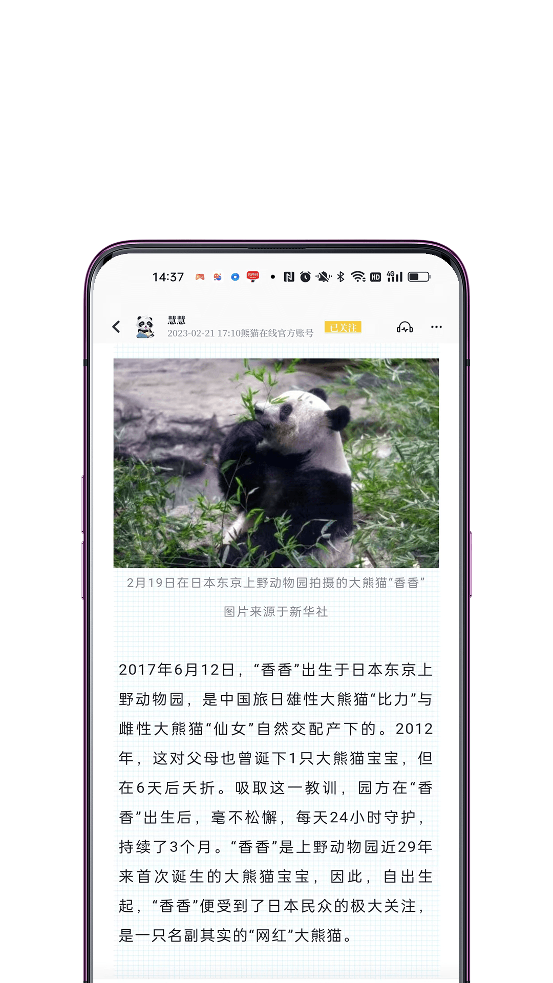 看熊猫电子杂志APP官方版图2: