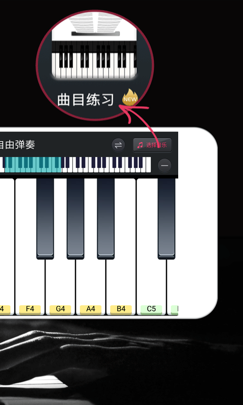 钢琴键盘APP下载安装免费官方版图3:
