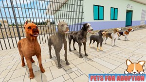 动物庇护所宠物世界游戏图3