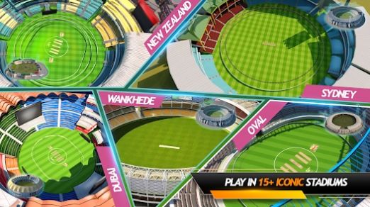 RVG真实板球比赛游戏官方手机版图2: