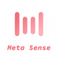 Meta Sense软件