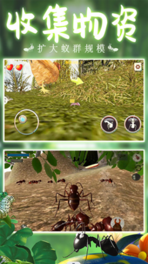 模拟蚂蚁大作战游戏手机版图片1
