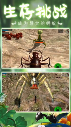 模拟蚂蚁大作战手机版图3
