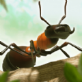 蚂蚁进化无敌版游戏