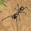 昆虫发育模拟器游戏官方版