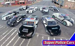 超级警车驾驶模拟器3D游戏中文手机版图片1