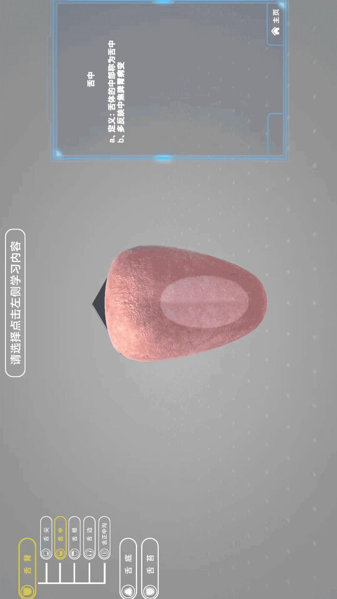 舌诊技能实训APP安卓版2