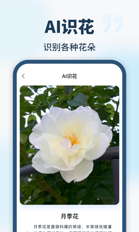 手机AI智能助手app最新版图片1