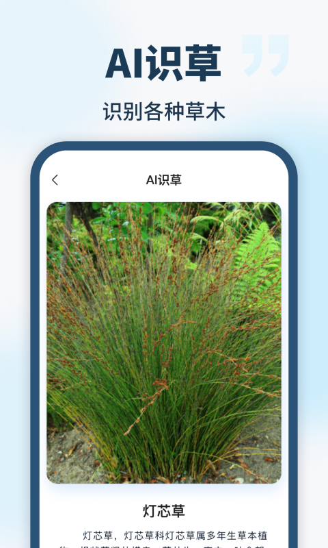 手机AI智能助手app最新版图1:
