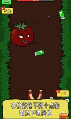 柠檬番茄游戏官方安卓版图片1