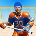 冰球传奇运动狂热游戏安卓版 v1.0