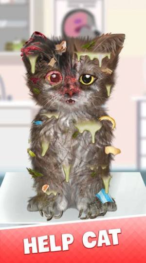 Cat Makeover游戏图2