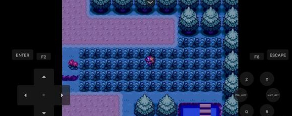 口袋妖怪燃之智凤王多少级可以遇到 凤王位置刷新条件介绍