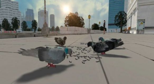 鸽子生存模拟器游戏官方版图片1