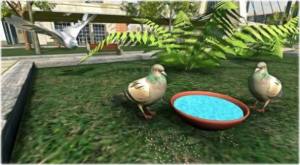 鸽子生存模拟器游戏图1
