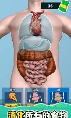 消化器官游戏安卓版图片1