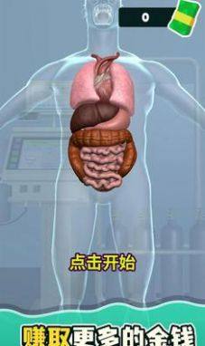 消化器官游戏图1