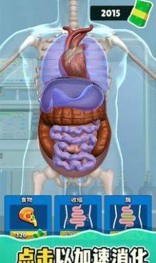 消化器官游戏图2