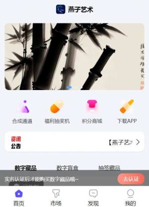 燕子艺术app图3