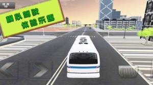 旅游驾驶模拟中文版图3