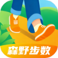 森野步数app