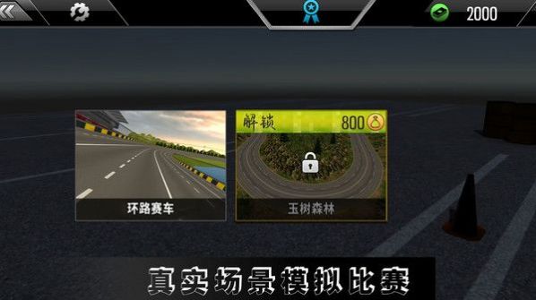 高难度驾驶大师游戏官方手机版截图4: