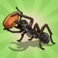 口袋蚂蚁殖民地模拟器游戏中文手机版 v0.0824
