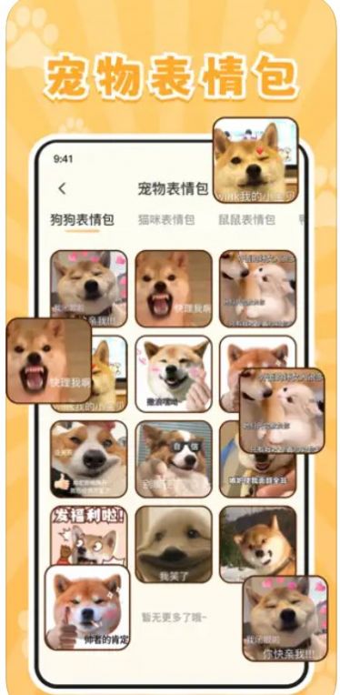 实时宠物翻译器app下载最新版图1: