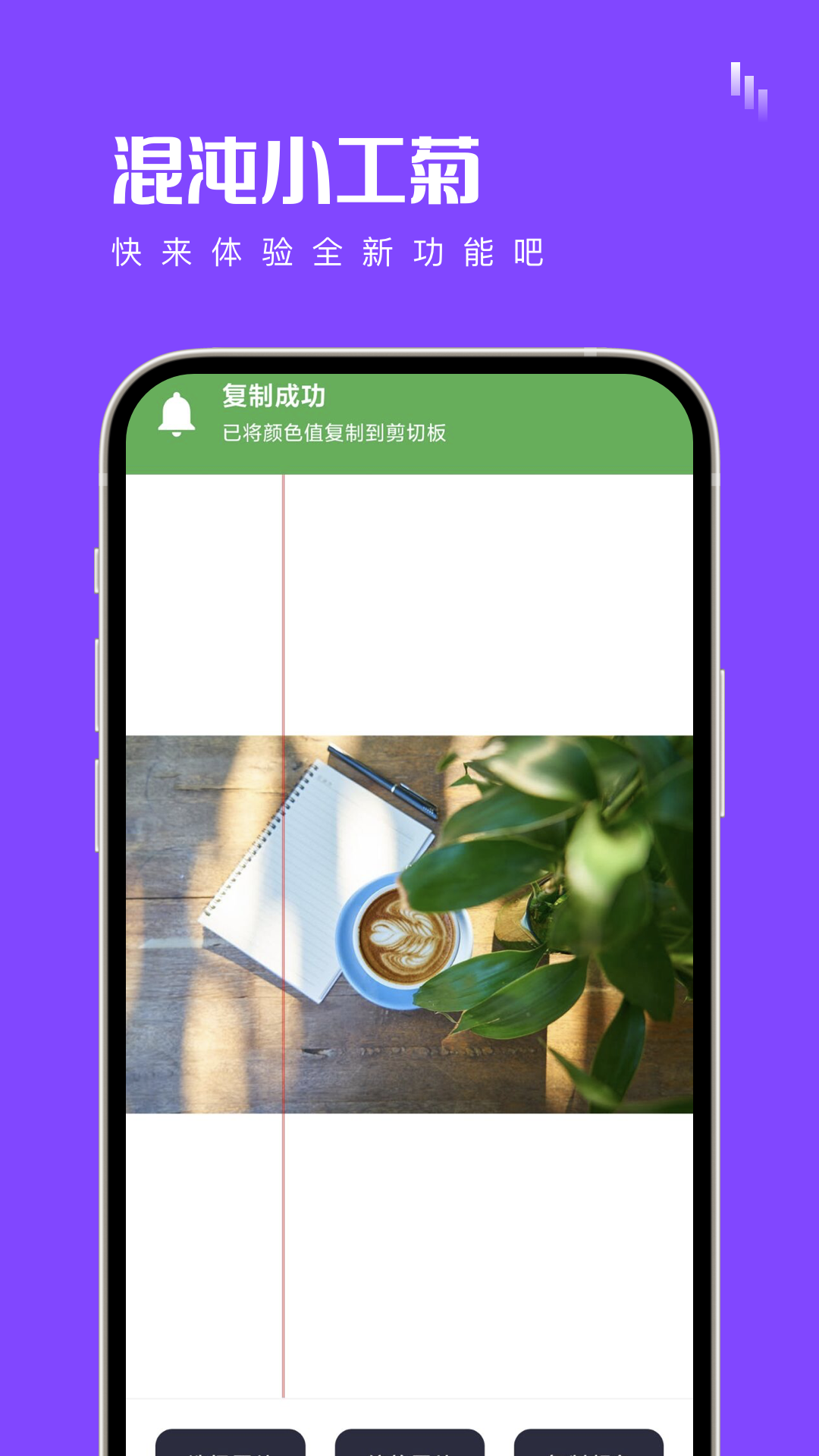 混沌小工菊app安卓版图1: