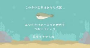 养萨卡班甲鱼游戏汉化版图3