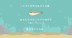 养萨卡班甲鱼游戏最新版下载安装图片1