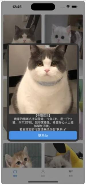 寻猫启示录app最新版图片1