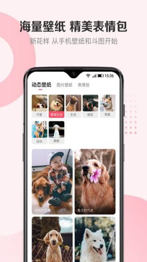68宠物网上办狗证app官方版图片1