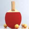 模拟乒乓球游戏下载安装 v1.0