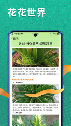 植物视界app图2