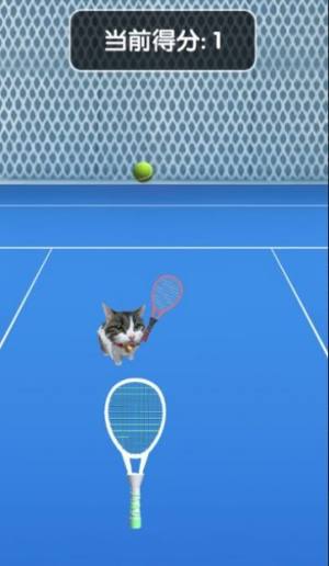 猫咪网球游戏图1