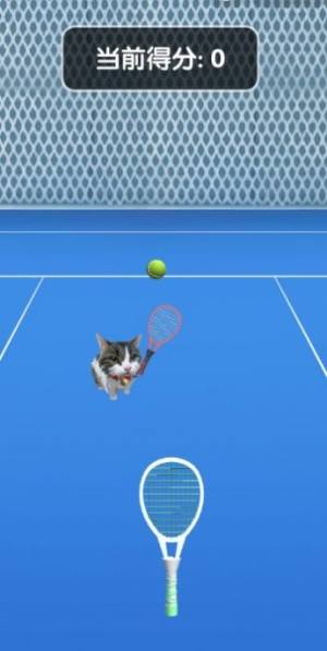 猫咪网球游戏图6