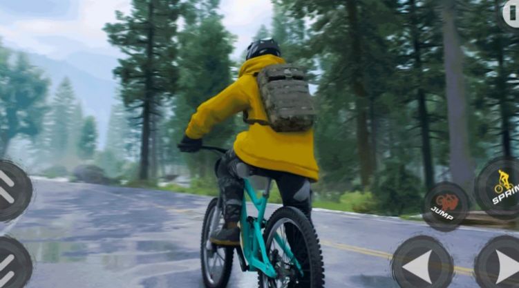 BMX自行车赛车模拟器游戏安卓版图1: