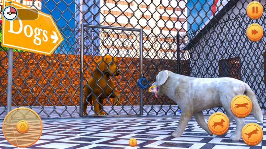 怀孕的宠物狗模拟器3d游戏安卓版图7: