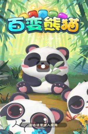 百变熊猫官方正版图1