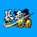 暴走忍者游戏官方版 v1.0