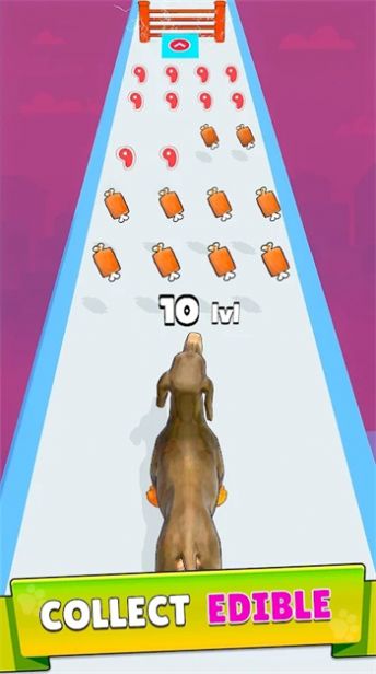 狗狗进化跑酷游戏安卓版图1: