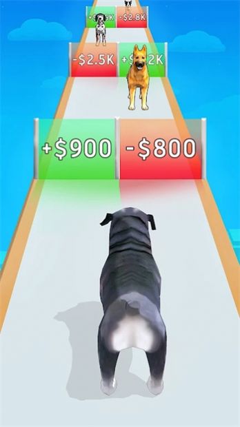 狗狗进化跑酷游戏安卓版图2: