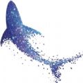 星鲨线上VR学院app