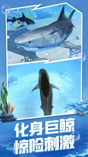 海洋大猎杀2023游戏官方版图片1