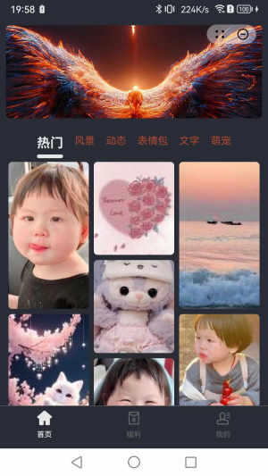 番晓壁纸app官方版图片1